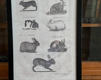 Birch Lane Rabbit Studt Print $150