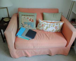 Twin Sleeper Sofa