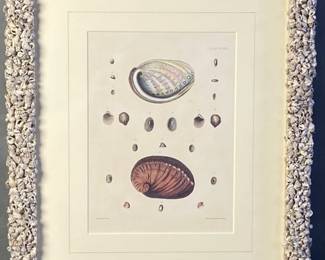 Antique Abalone Shell Engraving Book Plate 1844