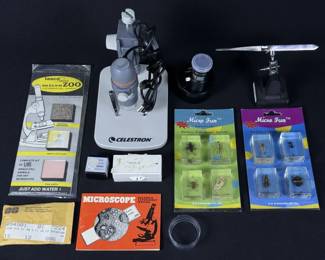 Microscope Slides Insects & Other Accessories