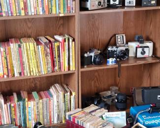 Novels, vintage smut