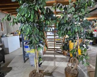 2 6 Ft Artificial Trees