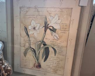 Botanical Art