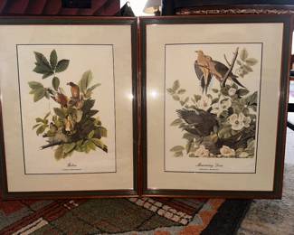 James J Audubon Bird Prints