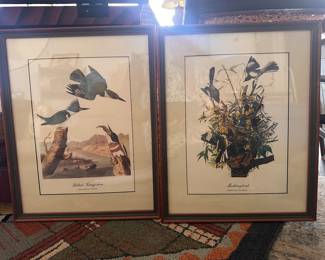 James J Audubon Framed Art Prints - set of 4