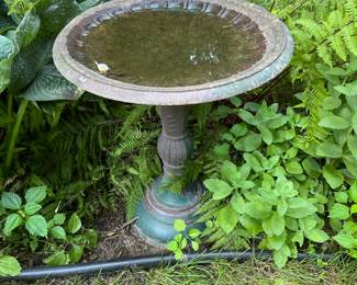 Bird Bath