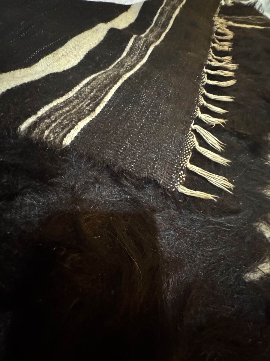 Bison fur rug $125