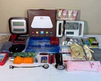 New FitBit Scale, Travel Accessories