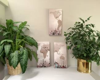 Faux Plants, Canvas Art