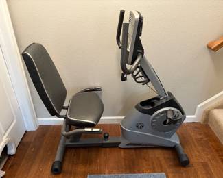 Gold's Gym Power Spin 390R Exercise Bike