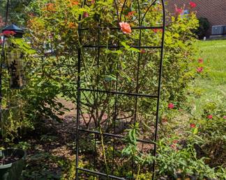 C111 - $25. Metal Plant Trellis