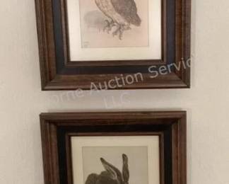 Durer Hare & Owl picture
