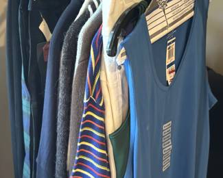 Women's clothes sizes from small to large, mostly large.