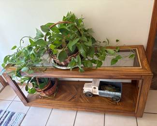 sofa or entry table, decor, plant