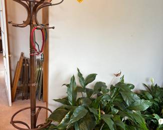 coat tree, plants