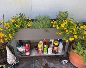 Planting cart with marigolds