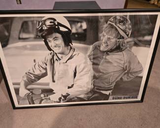Dumb & Dumber poster