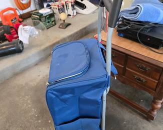 Rolling cooler bag
