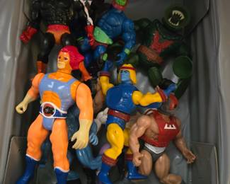 Masters of the Universe Figures