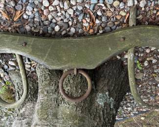 Oxen Yoke