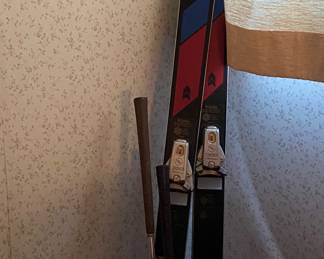 Ski's