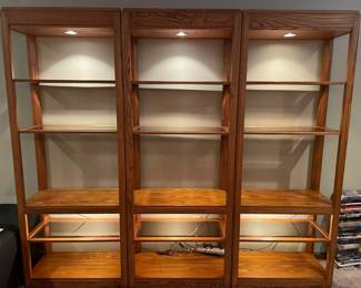 Beautiful Welllit Wall Shelves With Beveled Glass