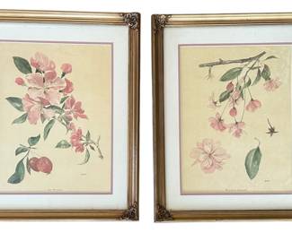 Pair of Signed Framed Floral Prints