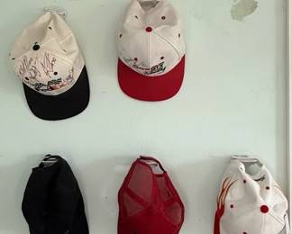 Mustang Enthusiasts 10 Piece Hat Collection With Autographs