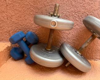 Lot Of 8 Pound Weights