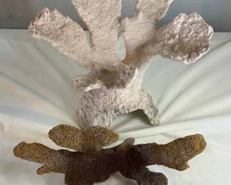 Decorative Coral