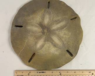 Decorative sand dollar