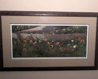 Bob Timberlake Velvet Faces