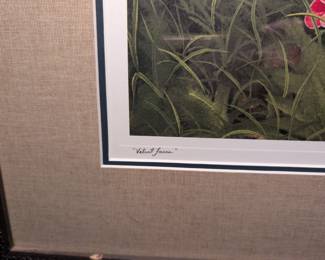 Bob Timberlake Velvet Faces