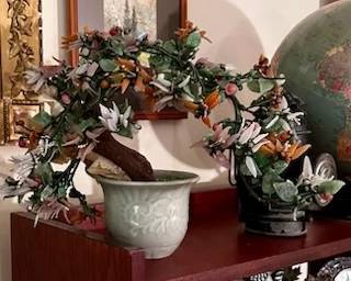 Jade tree