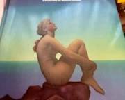 Maxfield parrish book