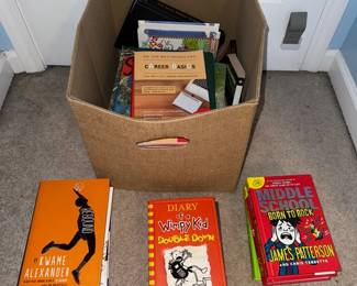 Mystery Book Lot