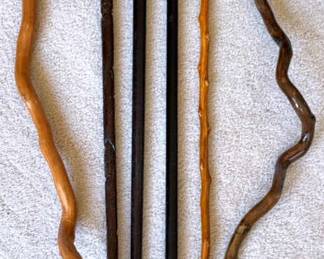 A Collection Of Walking Sticks