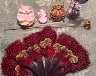 Guinea Fowl Feather Fan Other Items Of Interest