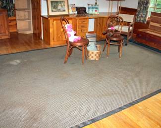 Large Indoor / Outdoor Rug