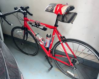Novara Triathlon Bike