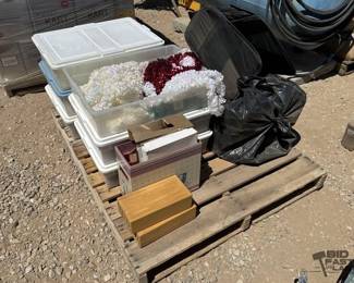2306 Suitcase, Pet Carrier and Holiday Decor