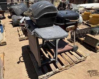 3094 2 Grills
