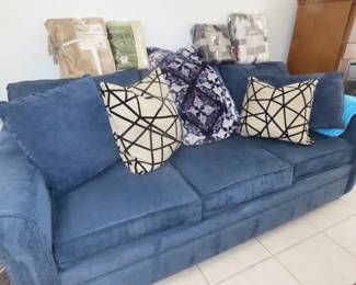 Blue sleeper sofa.
