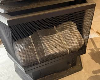 Brand new fire insert 