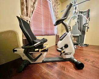HOIST LeMond Series RT Recumbent Trainer Exercise Bike (pre-owned)
