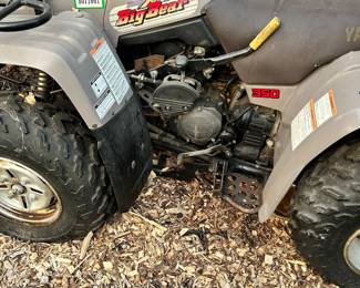 Big Bear 350 ATV