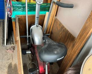 Giant exercise workout bike.