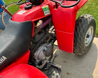 side view of the Yamaha Timber Wolf