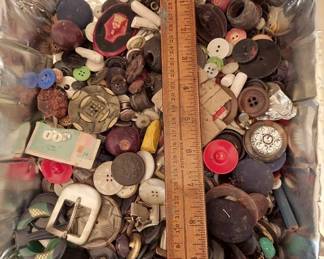 Antique Button Collection