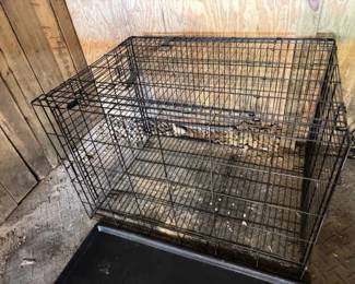 Large Kennel